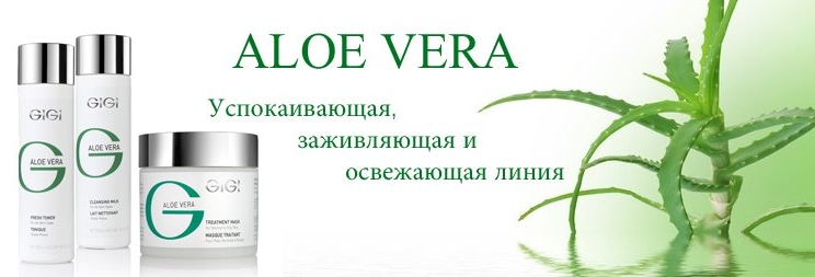 Aloe Vera Gi-Gi